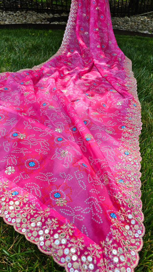 Multi Color Organza Dupatta